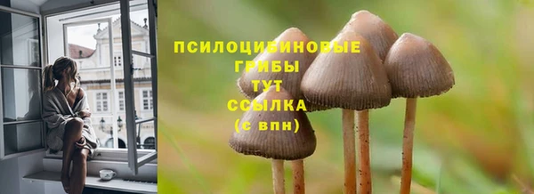 спайс Алексеевка