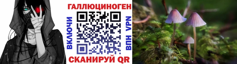 Псилоцибиновые грибы ЛСД Дмитров